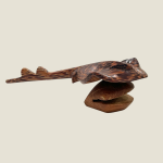 Stingray right side view