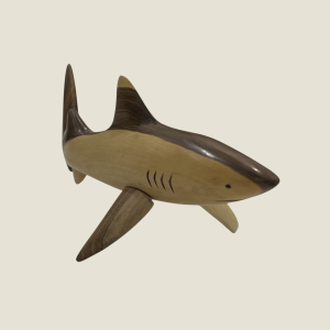 Shark right front view